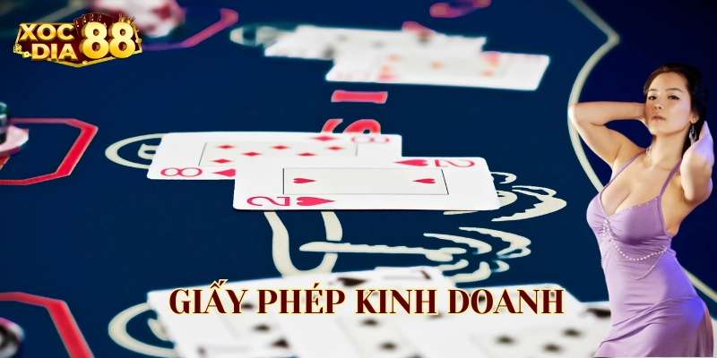 Giấy Phép Kinh Doanh – Bảo Chứng Cho Sự Minh Bạch Và An Toàn Lưu ý quan trong trong giấy phép kinh doanh